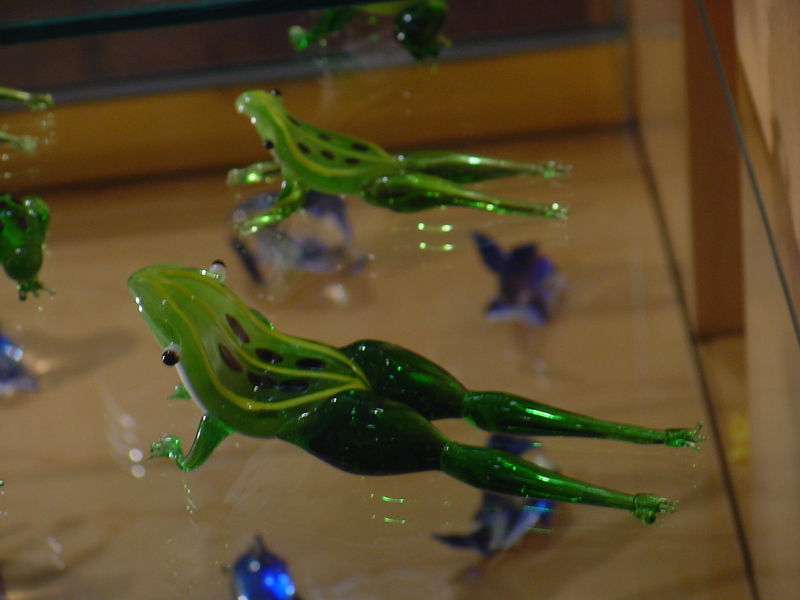 Glass frog; DISPLAY FULL IMAGE.