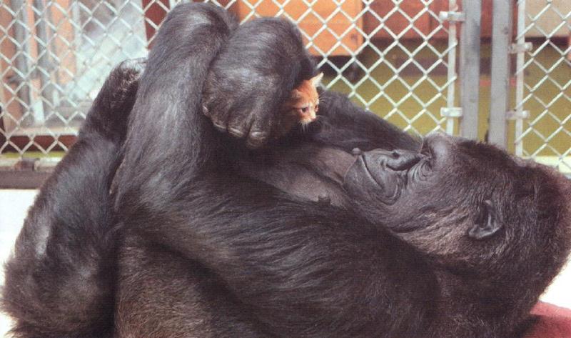 [Funny] Hug me.; DISPLAY FULL IMAGE.