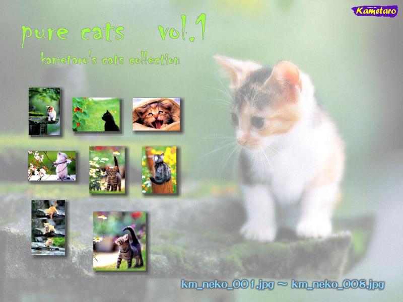 Kametaro's Cats Collection: Pure Cats Vol. 1 - Kitten - Index; DISPLAY FULL IMAGE.