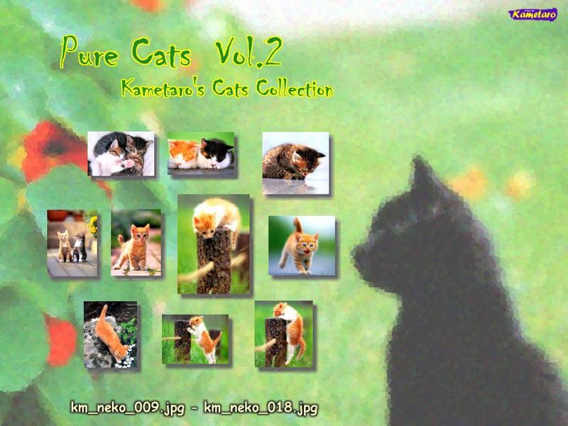 Kametaro's Cats Collection: Pure Cats Vol. 2 - Kitten - Index; DISPLAY FULL IMAGE.