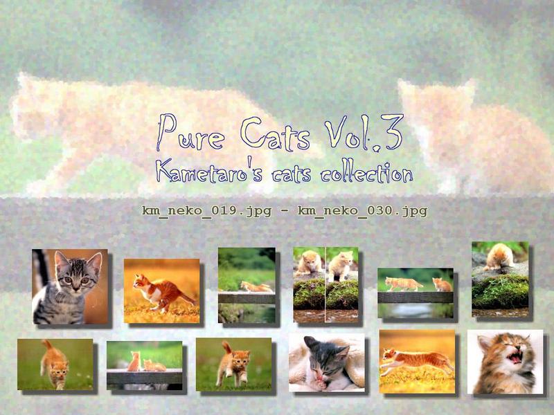 Kametaro's Cats Collection: Pure Cats Vol. 3 - Kitten - Index; DISPLAY FULL IMAGE.