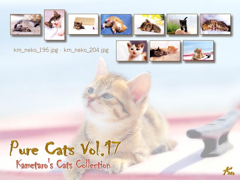 Kametaro's Cats Collection: Pure Cats Vol. 17 - Kitten - Index; DISPLAY FULL IMAGE.