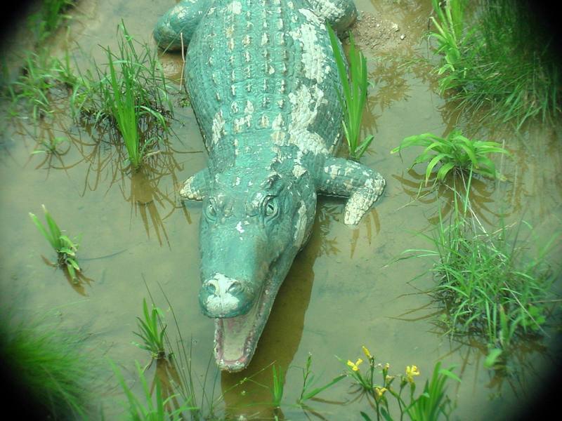 crocodile - not real (Daejeon Zooland); DISPLAY FULL IMAGE.