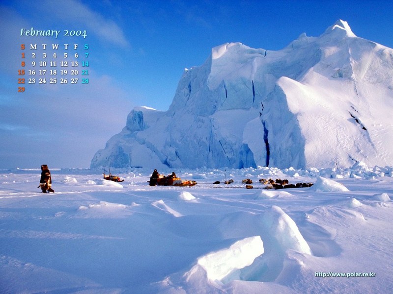 KOPRI Calendar 2004.02: Sled Dogs; DISPLAY FULL IMAGE.