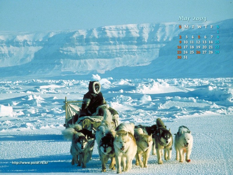 KOPRI Calendar 2004.05: Eskimo and Sled Dogs; DISPLAY FULL IMAGE.