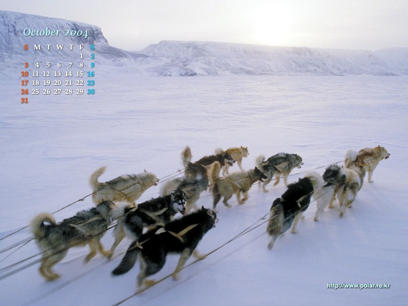 KOPRI Calendar 2004.10: Sled Dogs; DISPLAY FULL IMAGE.