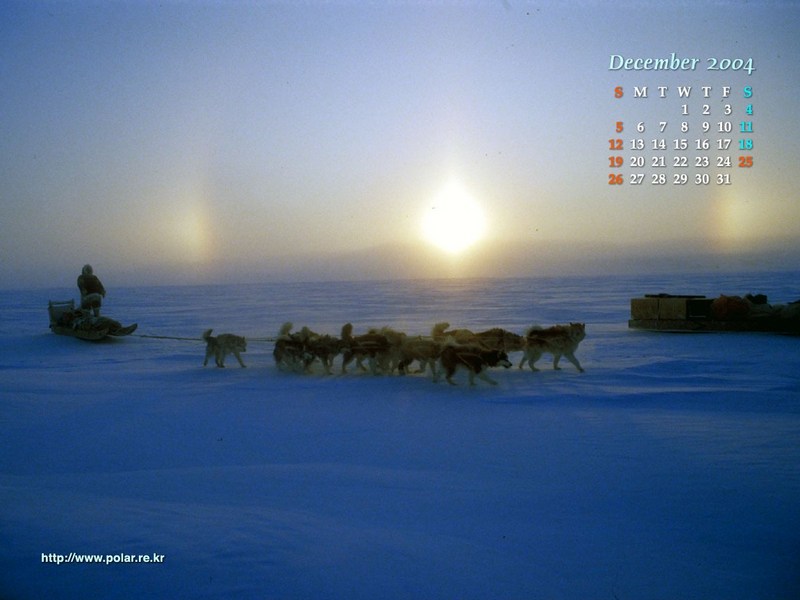 KOPRI Calendar 2004.12: Sled Dogs under Sunset; DISPLAY FULL IMAGE.
