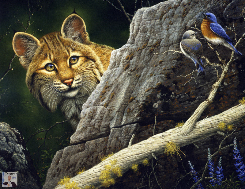 Catsmeat SDC 2003 - Weyer Wildlife Calendar 06: Bobcat and Eastern Bluebirds- oil painting by Tom Mansanarez; DISPLAY FULL IMAGE.