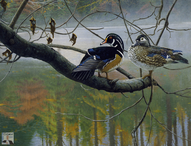 Catsmeat SDC 2003 - Weyer Wildlife Calendar 09: Wood Ducks - oil painting by Michael Budden; DISPLAY FULL IMAGE.