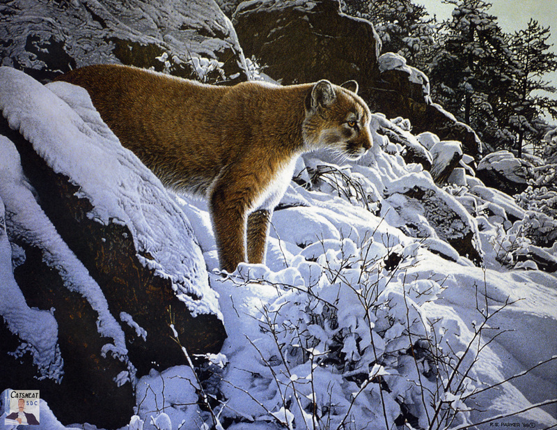 Catsmeat SDC 2003 - Weyer Wildlife Calendar 11: Cougar - acrylic painting by Ron Parker; DISPLAY FULL IMAGE.