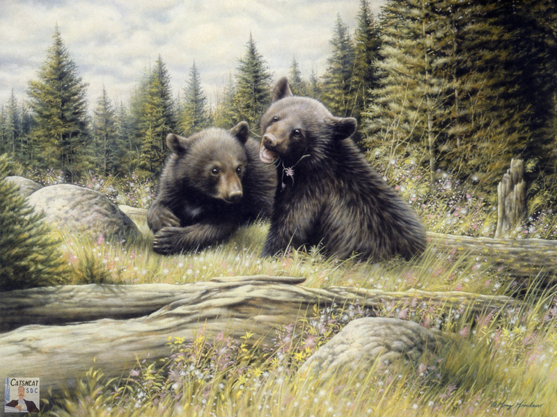 Catsmeat SDC 2004 - Weyer Wildlife Calendar 06: Young Bears by Greg & Company; DISPLAY FULL IMAGE.