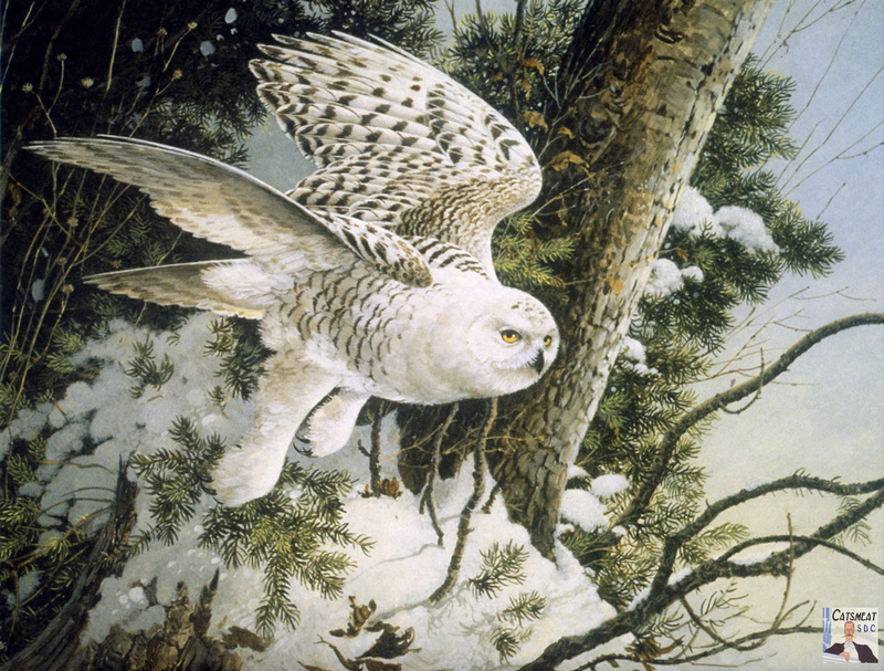 Catsmeat SDC 2004 - Weyer Wildlife Calendar 11: Snowy Owl by Les Didier; DISPLAY FULL IMAGE.