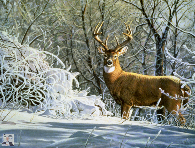 Catsmeat SDC 2004 - Weyer Wildlife Calendar 12: White-tailed Deer by Bruce Miller; DISPLAY FULL IMAGE.