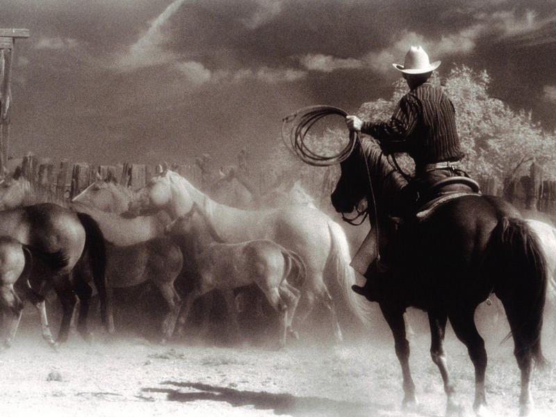 Cowboy and Horses - Round 'Em Up; DISPLAY FULL IMAGE.