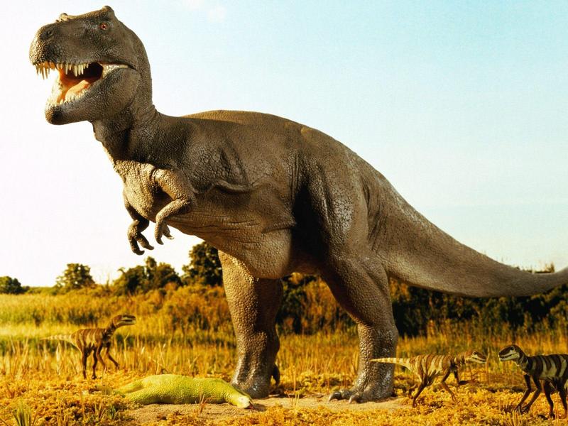 Prehistoric Times - Tyrannosaurus rex; DISPLAY FULL IMAGE.