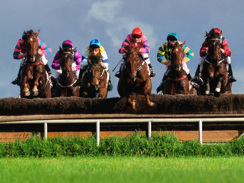 A Race to the Finish Steeplechase (Horse Race); DISPLAY FULL IMAGE.