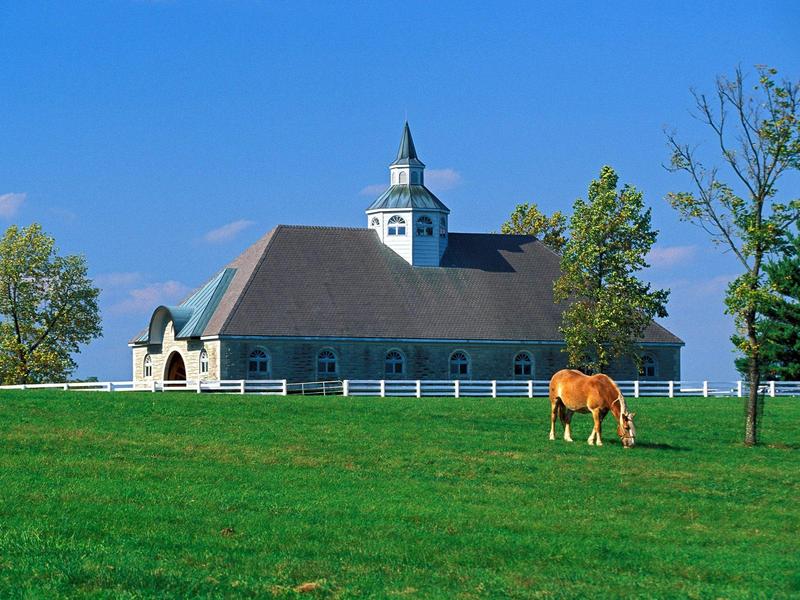 Donamire Horse Farm, Lexington, Kentucky; DISPLAY FULL IMAGE.