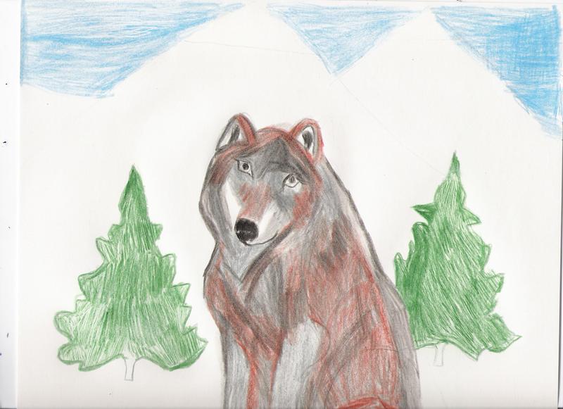 WOLF; DISPLAY FULL IMAGE.