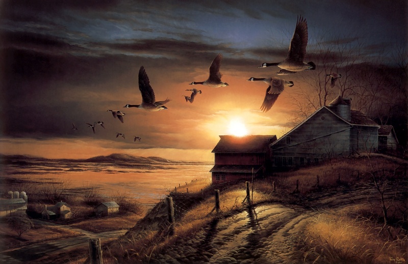 [Animal Art - Terry Redlin] Clear View - Canada Goose flock in flight; DISPLAY FULL IMAGE.