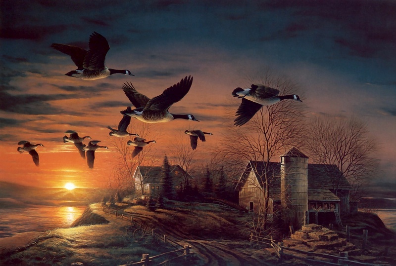 [Animal Art - Terry Redlin] Sundown - Canada Goose flock in flight; DISPLAY FULL IMAGE.