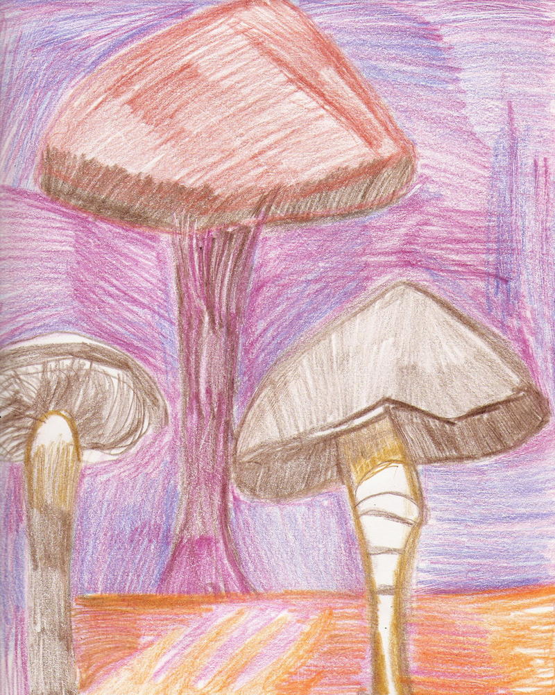 MUSHROOMS; DISPLAY FULL IMAGE.