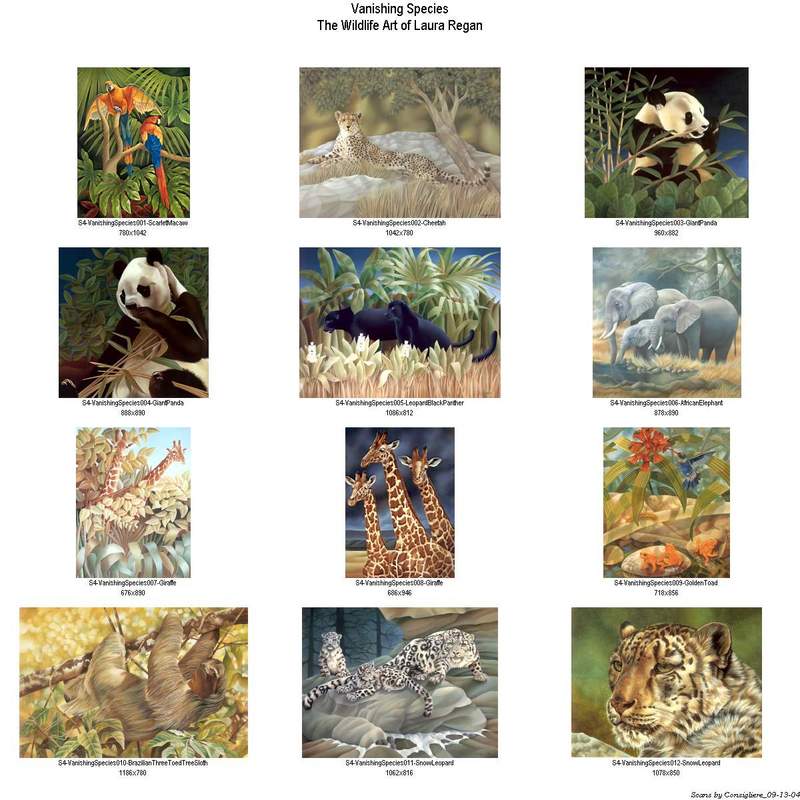 Consigliere Scan: Vanishing Species, The Wildlife Art of Laura Regan - Index 001; DISPLAY FULL IMAGE.