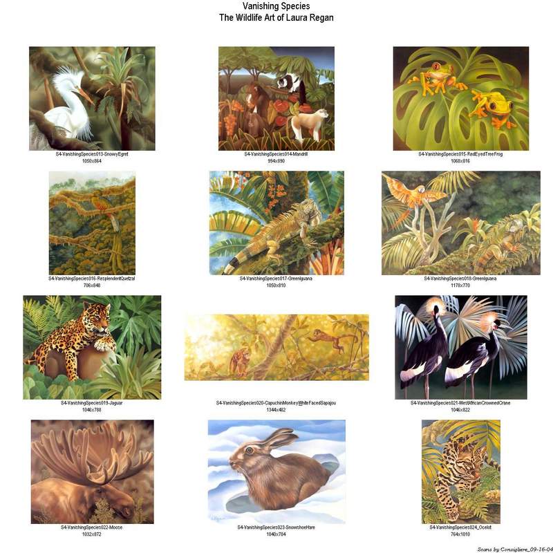 Consigliere Scan: Vanishing Species, The Wildlife Art of Laura Regan - Index 002; DISPLAY FULL IMAGE.