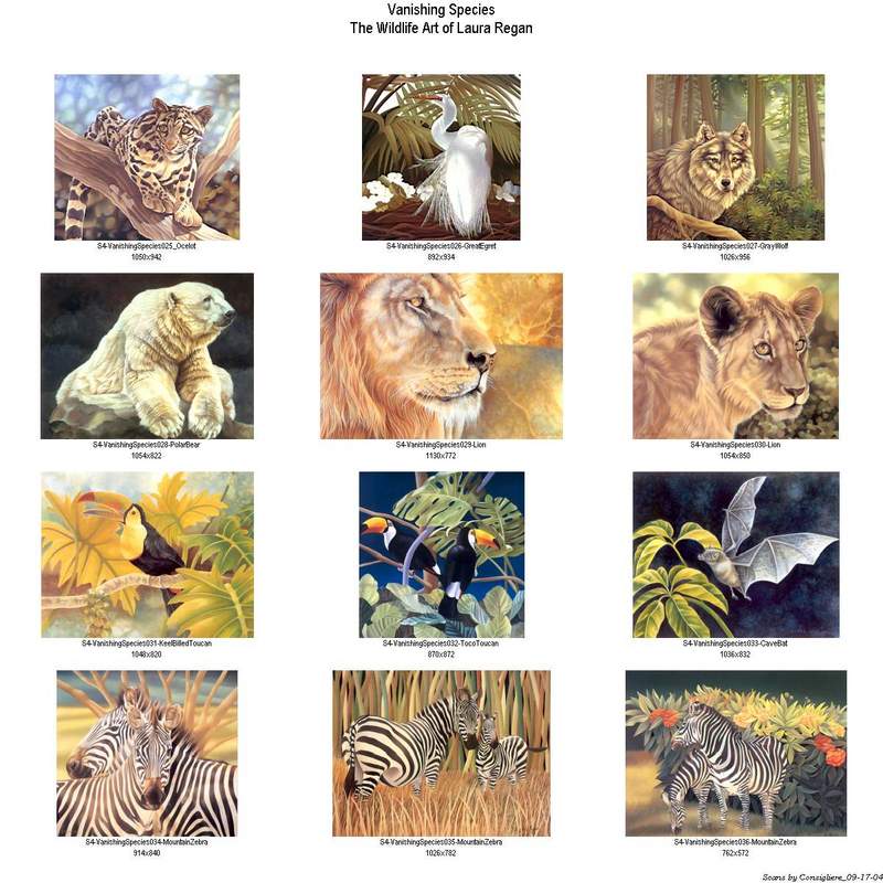 Consigliere Scan: Vanishing Species, The Wildlife Art of Laura Regan - Index 003; DISPLAY FULL IMAGE.