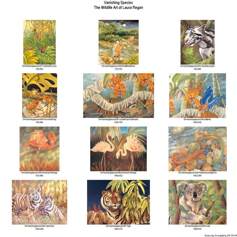 Consigliere Scan: Vanishing Species, The Wildlife Art of Laura Regan - Index 004; DISPLAY FULL IMAGE.