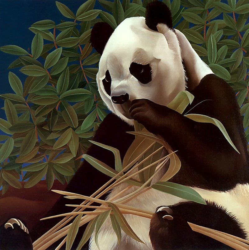 Consigliere Scan: Vanishing Species, The Wildlife Art of Laura Regan - 004 Giant Panda; DISPLAY FULL IMAGE.