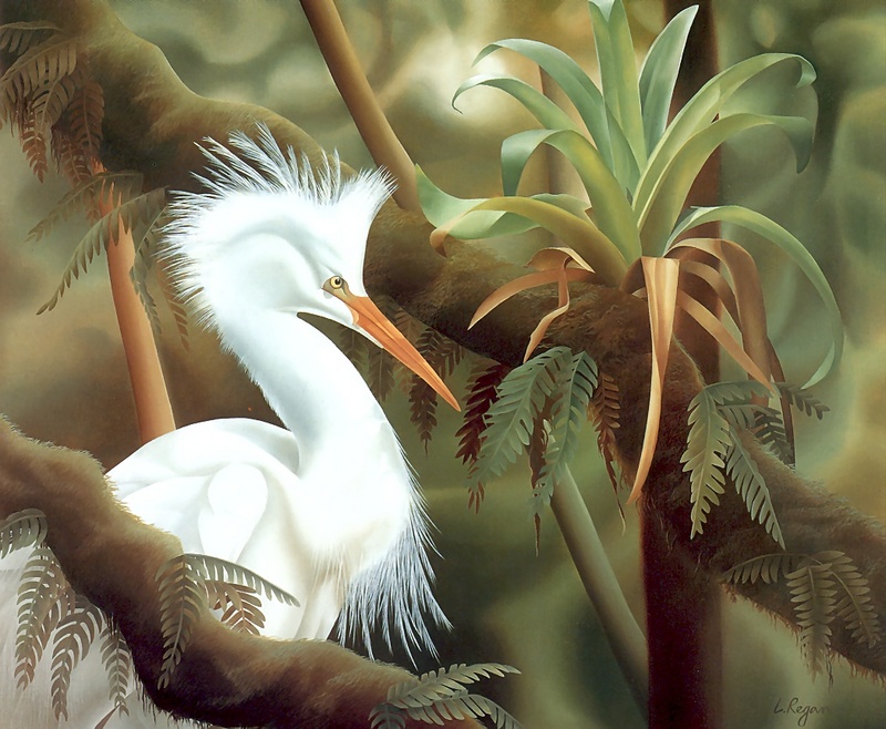 Consigliere Scan: Vanishing Species, The Wildlife Art of Laura Regan - 013 Snowy Egret; DISPLAY FULL IMAGE.