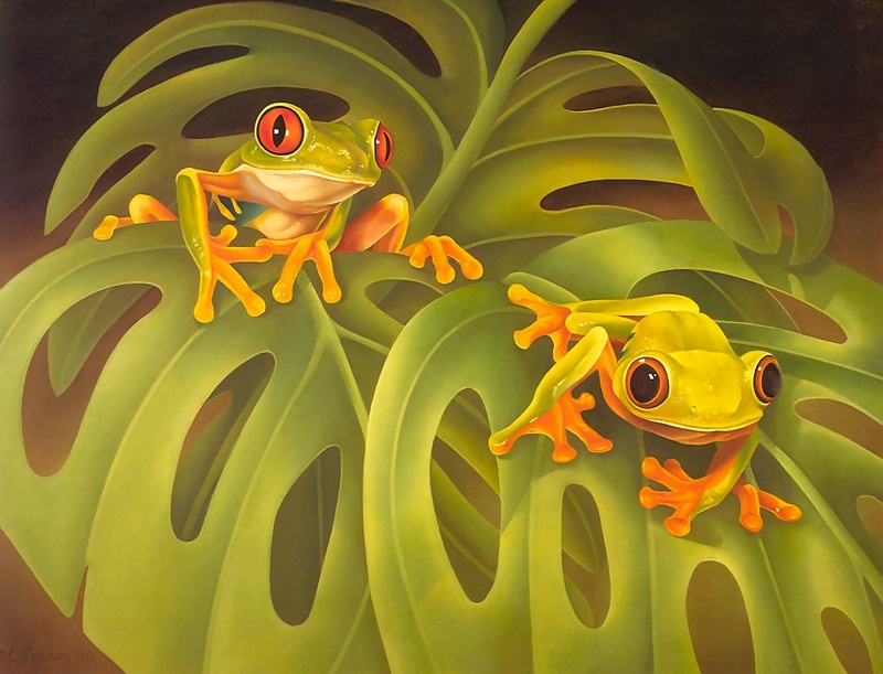 Consigliere Scan: Vanishing Species, The Wildlife Art of Laura Regan - 015 Red-Eyed Tree Frog; DISPLAY FULL IMAGE.
