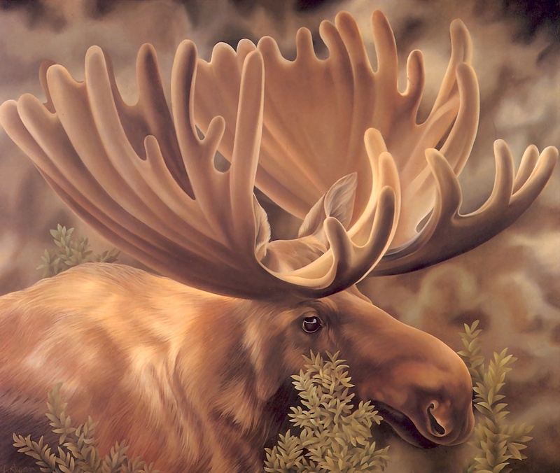 Consigliere Scan: Vanishing Species, The Wildlife Art of Laura Regan - 022 Moose; DISPLAY FULL IMAGE.