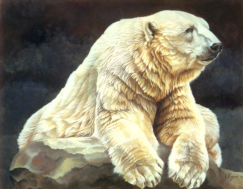 Consigliere Scan: Vanishing Species, The Wildlife Art of Laura Regan - 028 Polar Bear; DISPLAY FULL IMAGE.
