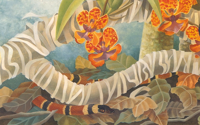 Consigliere Scan: Vanishing Species, The Wildlife Art of Laura Regan - 041 Costa Rican Coral Snake; DISPLAY FULL IMAGE.