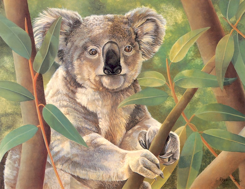 Consigliere Scan: Vanishing Species, The Wildlife Art of Laura Regan - 048 Koala; DISPLAY FULL IMAGE.