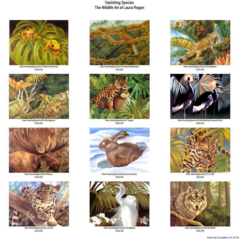 Consigliere Scan: Vanishing Species (Wallpaper) Index 002; DISPLAY FULL IMAGE.