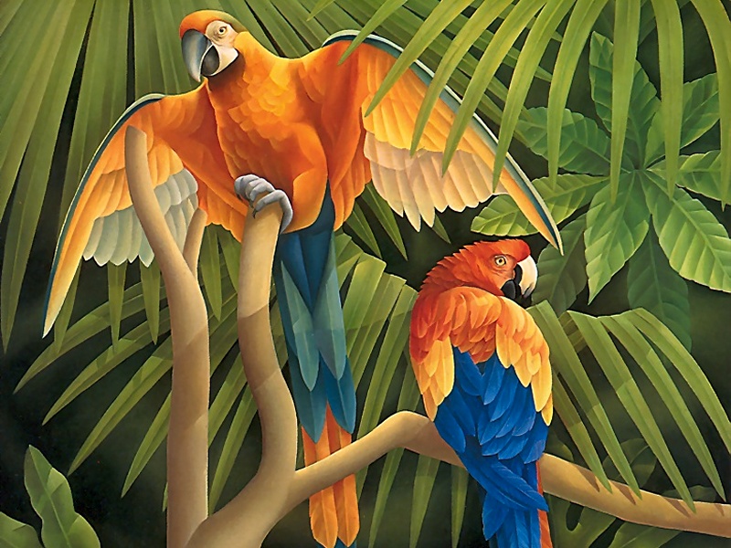 Consigliere Scan: Vanishing Species (Wallpaper) 001 Scarlet Macaw; DISPLAY FULL IMAGE.
