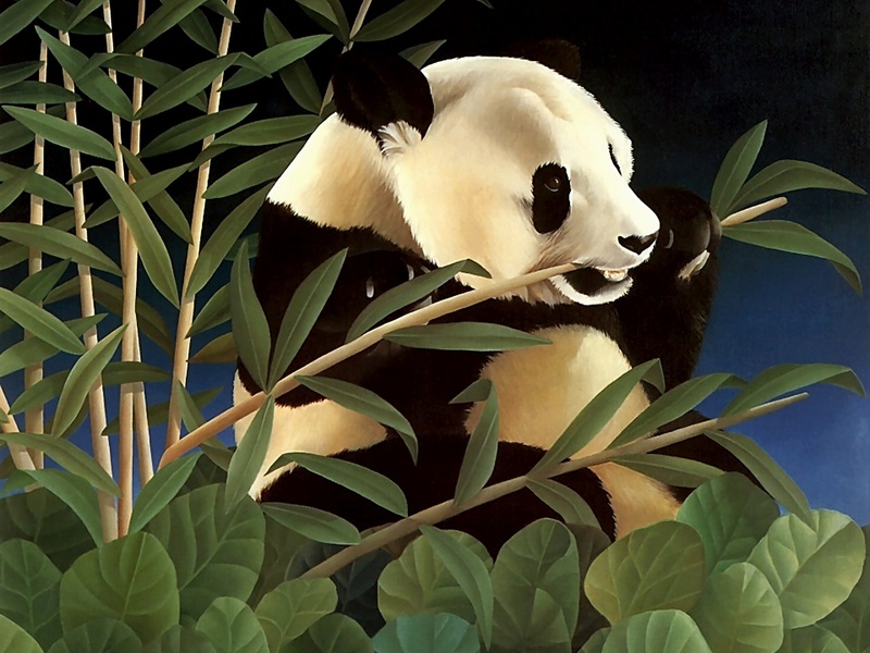 Consigliere Scan: Vanishing Species (Wallpaper) 003 Giant Panda; DISPLAY FULL IMAGE.