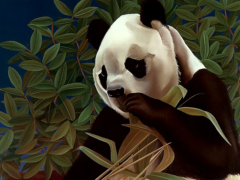 Consigliere Scan: Vanishing Species (Wallpaper) 004 Giant Panda; DISPLAY FULL IMAGE.