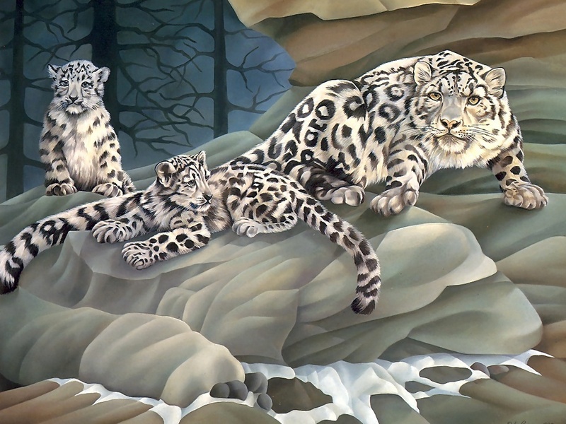 Consigliere Scan: Vanishing Species (Wallpaper) 009 Snow Leopard; DISPLAY FULL IMAGE.