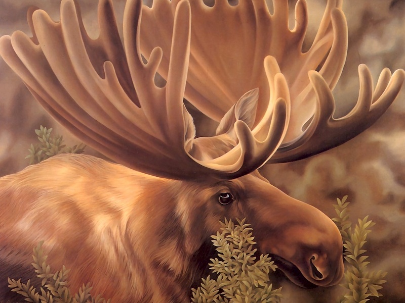 Consigliere Scan: Vanishing Species (Wallpaper) 019 Moose; DISPLAY FULL IMAGE.