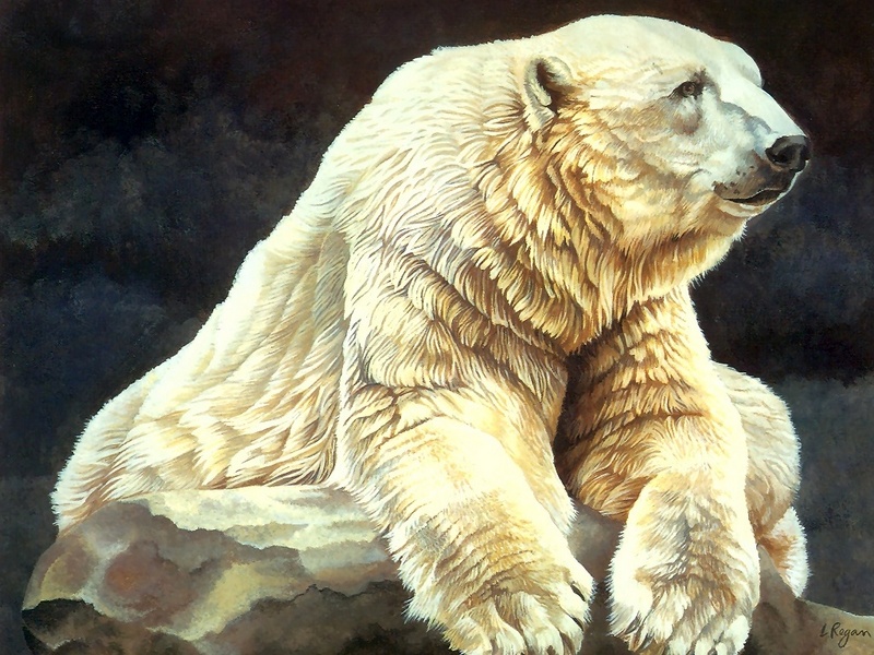 Consigliere Scan: Vanishing Species (Wallpaper) 025 Polar Bear; DISPLAY FULL IMAGE.