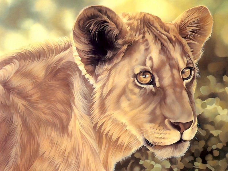 Consigliere Scan: Vanishing Species (Wallpaper) 027 Lion; DISPLAY FULL IMAGE.