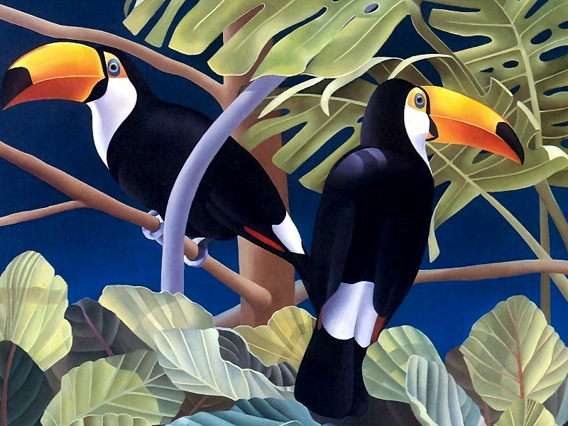 Consigliere Scan: Vanishing Species (Wallpaper) 029 Toco Toucan; DISPLAY FULL IMAGE.