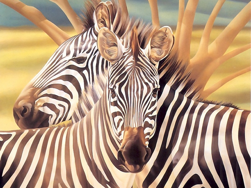 Consigliere Scan: Vanishing Species (Wallpaper) 031 Mountain Zebra; DISPLAY FULL IMAGE.
