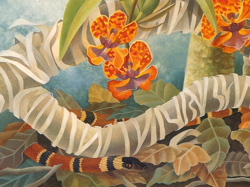 Consigliere Scan: Vanishing Species (Wallpaper) 038 Costa Rican Coral Snake; DISPLAY FULL IMAGE.