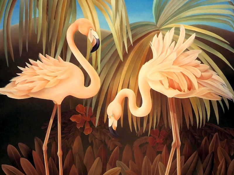 Consigliere Scan: Vanishing Species (Wallpaper) 041 American Flamingo; DISPLAY FULL IMAGE.