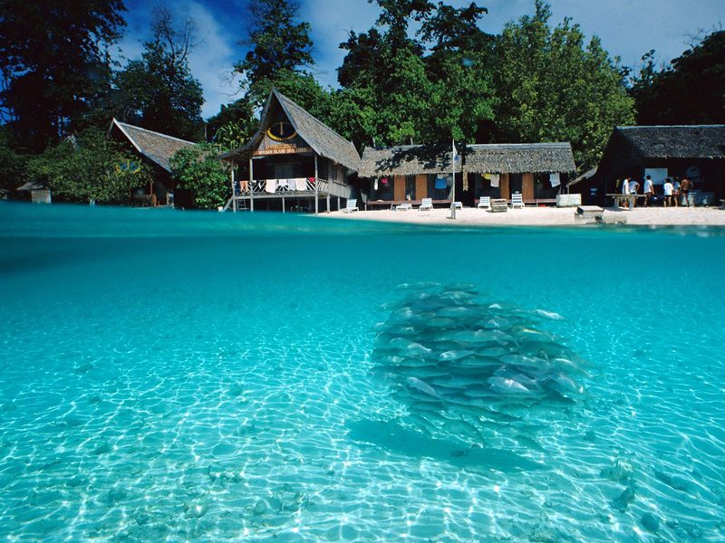 [Daily Photo CD03] Schooling of Fishes, Split-View of Sipida Island, Borneo; DISPLAY FULL IMAGE.