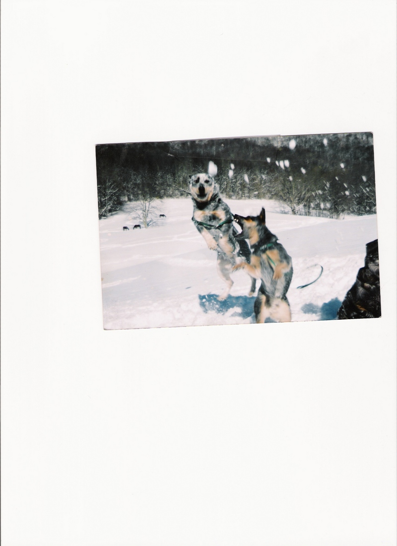 pictures; DISPLAY FULL IMAGE.